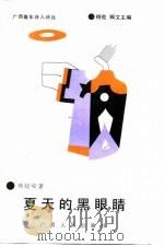 广西青年诗人诗丛  夏天的黑眼睛（1990 PDF版）