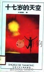 十七岁的天空（1990 PDF版）