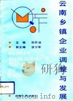 云南乡镇企业调整与发展（1991 PDF版）