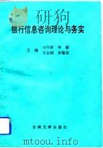 银行信息咨询理论与务实（1993 PDF版）