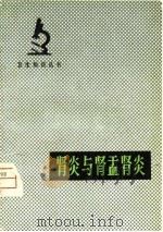 肾炎与肾盂肾炎（1980 PDF版）