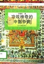 功效神奇的中医中药 1995 PDF电子版封面 7806388540 刘庚祥著
