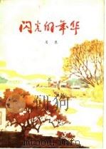 闪光的年华（1978 PDF版）