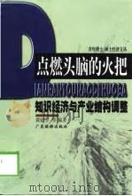 点燃头脑的火把——知识经济与产业结构调整（1999年07月第1版 PDF版）
