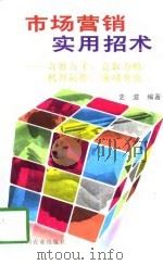市场营销实用招术-奇妙点子、竞取方略、机智运作、成功典范 1995 PDF电子版封面 7109039765 史波