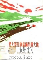 把大寨红旗插遍昌潍大地  昌潍地区农业学大寨典型材料选编（1977 PDF版）