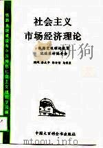 社会主义市场经济理论（1994 PDF版）