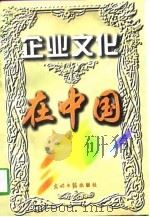 企业文化在中国  中国企业文化研究会十周年（1998 PDF版）
