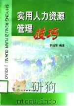 实用人力资源管理技巧（1998 PDF版）