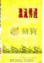 激流勇进（1974 PDF版）