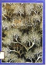 沟通与更新  鲁迅与日本文学关系发微（1990 PDF版）