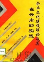 企业文化建设理论及其在云南的实践   1993  PDF电子版封面  7536706707  廖树东等主编；云南省职工思想政治工作研究会秘书处编 