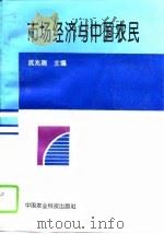 市场经济与中国农民（1995 PDF版）