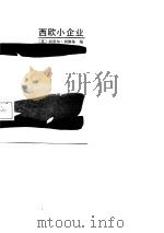 西欧小企业（1988 PDF版）