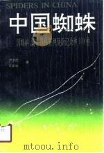 中国蜘蛛  园蛛科、漏斗蛛科新种及新记录种100种  蛛形纲：蜘蛛目（1990 PDF版）