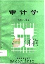 审计学（1995 PDF版）