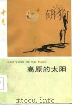 高原的太阳（1985 PDF版）