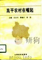 高平农村在崛起（1991 PDF版）