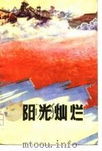 阳光灿烂（1976 PDF版）