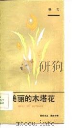 美丽的木塔花（1986 PDF版）
