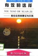 有效的选择  股份公司的理论与实践（1994 PDF版）