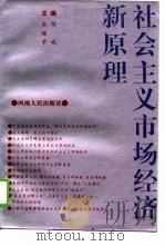 社会主义市场经济新原理（1994 PDF版）
