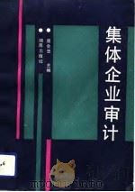 集体企业审计（1991 PDF版）