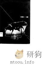 海南经济发展战略（1988 PDF版）