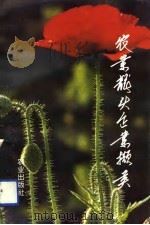 农业龙头企业撷英（1993 PDF版）