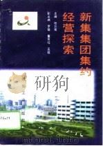 新集集团集约经营探索 1996 PDF电子版封面 7502013725 陆剑南主编
