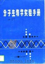 分子生物学实验手册（1990 PDF版）