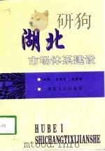 湖北市场体系建设（1998 PDF版）