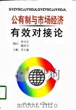 公有制与市场经济有效对接论（1998 PDF版）