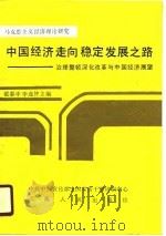 中国经济走向稳定发展之路  治理整顿深化改革与中国经济展望（1990 PDF版）