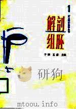 解剖组胚（1990 PDF版）