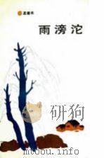 雨滂沱  小说散文选集（1991 PDF版）