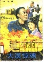大漠惊魂（1989 PDF版）