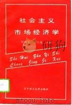 社会主义市场经济学（1995 PDF版）