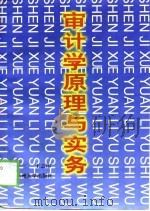 审计学原理与实务（1998 PDF版）