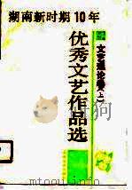 湖南新时期十年优秀文艺作品选  文艺理论卷  上（1990 PDF版）