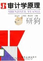 审计学原理（1996 PDF版）
