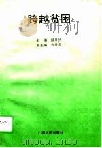 跨越贫困（1995 PDF版）