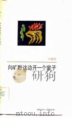向旷野这边开一个窗子 1986 PDF电子版封面 10456·22 王晨牧著