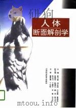人体断面解剖学（1997 PDF版）