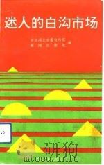 迷人的白沟市场（1993 PDF版）