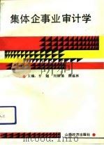 集体企事业审计学（1992 PDF版）