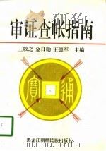审证查帐指南（1998 PDF版）