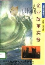 企业改革实务（1996 PDF版）