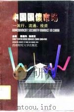 中国国债市场  发行、流通、投资（1998 PDF版）