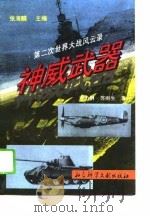 神威武器——第二次世界大战风云录（1995年02月第1版 PDF版）